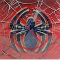 thumbnail image 2 of Hallmark Party Spider-Man Lunch Napkins, 2 of 2