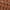 Cognac, variant on Time and Tru Women's Woven Ballet Flats