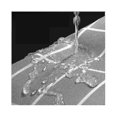 thumbnail image 2 of Shower Curtain, Anti-Mildew Shower Curtain 180x180cm Washable Shower Curtain Durable Shower Curtain for Bathroom, Exhibition, 2 of 5