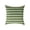 A, variant on Green Ivy Wall Throw Pillow 18x18 Inch Set of 1, Climbing Plant Leaves Farmhouse Pillow Plants Botanical Style Pillow Decorative Cushion for Sofa Couch Bed Living Room, B
