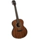 thumbnail image 1 of Guitarra acústica de cuerpo folk Bristol BF-15 Compañía cervecera de Bristol, 1 of 3