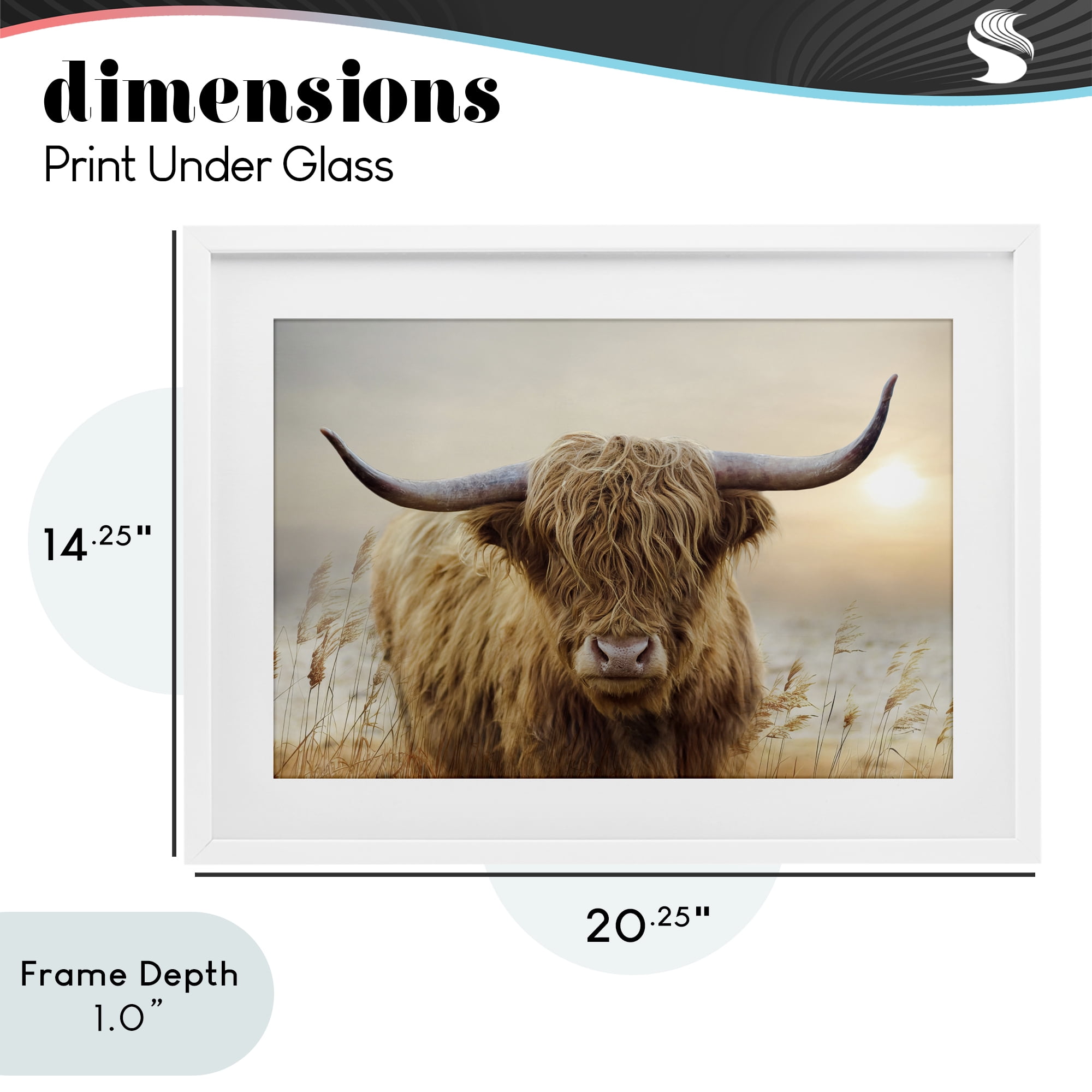 Stupell Industries Highland Cow & Warm Sunset White Framed Print Under Glass, design by CAD Designs