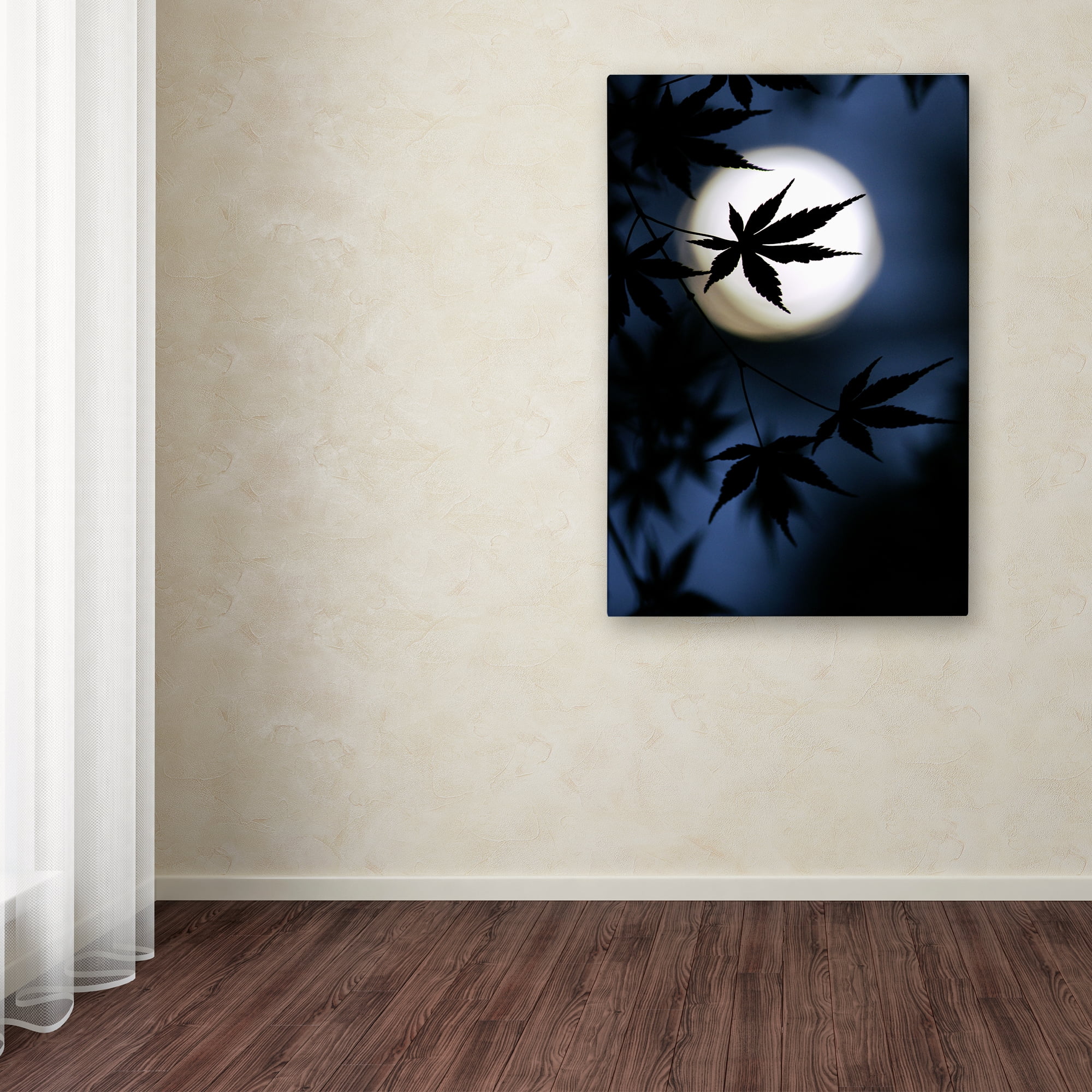 Trademark Fine Art 'Color Of Japan' Canvas Art by Kouji Tomihisa