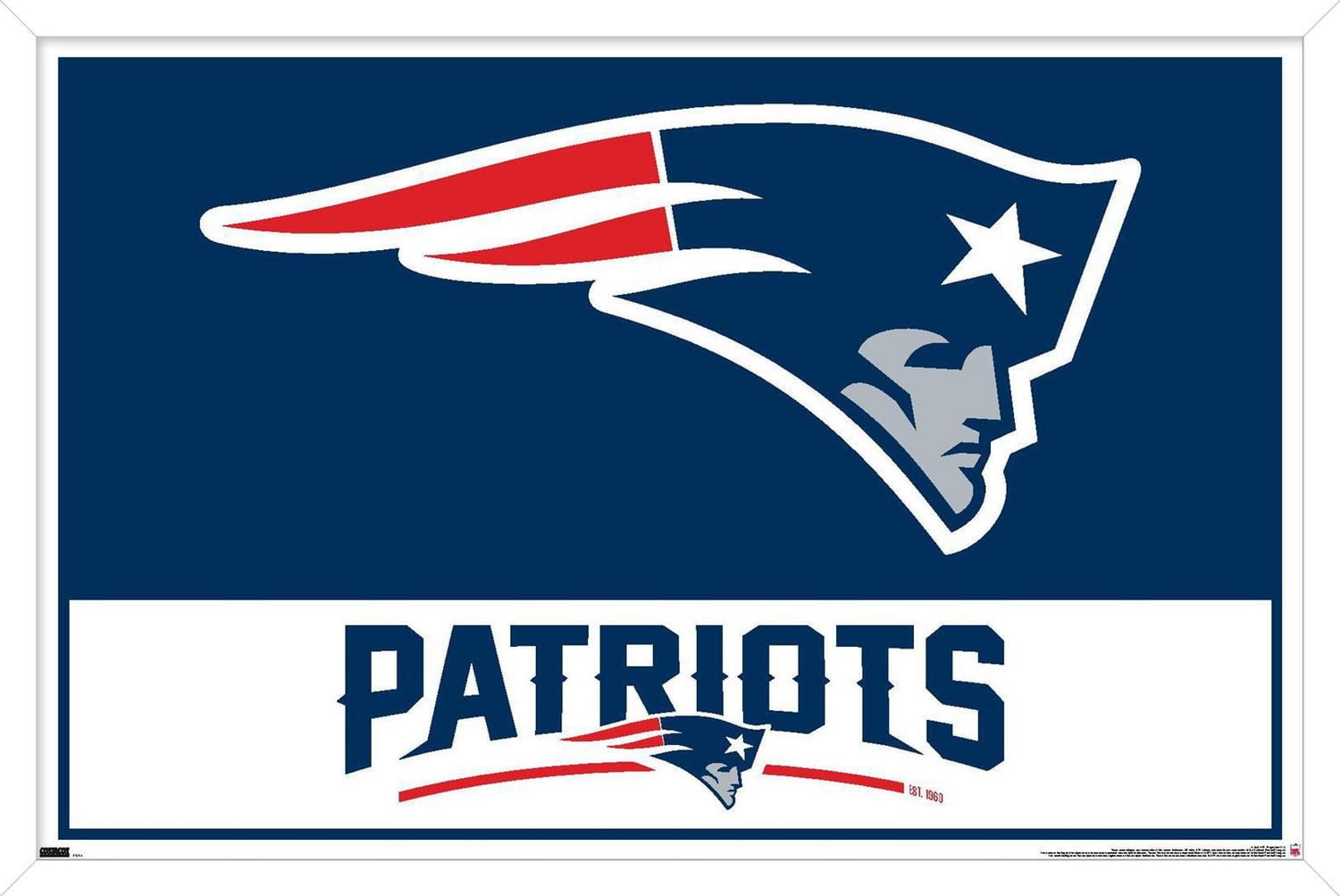 Patriots de la Nouvelle-Angleterre de la NFL