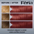 thumbnail image 3 of L'Oréal Paris Féria, Coloration Permanente, 3 of 7