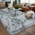 thumbnail image 4 of ZENELESS 6x9 Non-Slip Shaggy Area Rug, Large Fuzzy Rug for Living Room, Kids Room, Bedroom , Cozy Carpet Indoor, 4 of 8