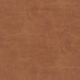 thumbnail image 6 of New Pacific Direct Donna Faux Leather Rattan Counter Stool in Brown (Set of 2), 6 of 9