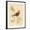 Black Frame, variant on Art.com Gilded Songbird 3 Art Print by Chad Barrett, 12" x 16"