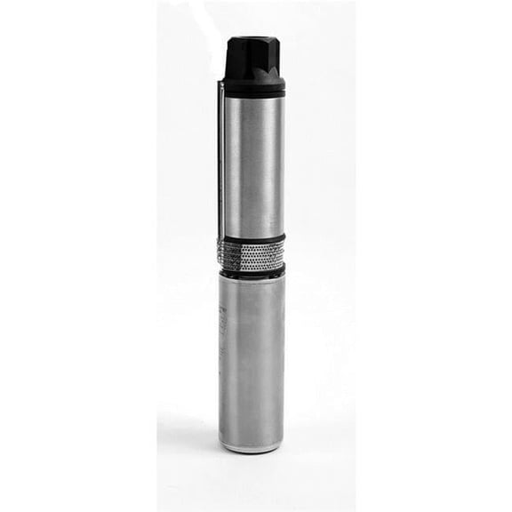 Ecoflo 4789277 1 HP 12 Gpm Stainless Steel Submersible Pump