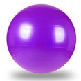 thumbnail image 2 of Plastic Exercise Ball Set - Inflatable Training Stability Ball Yoga Fitness Ball, 2 of 4