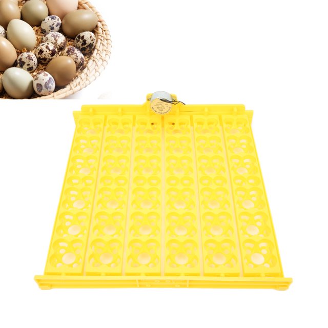 Turner Autico de Huevos, Incubador de Huevos de Codorniz, Bandeja Giratoria para Huevos para Incubadore, 156 piezas, Bandeja de Incubació de Huevos complementarios