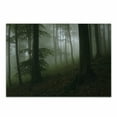 thumbnail image 1 of Forest Cutting Board, Mysterious Woods Fog Wilderness Rural Untouched Vegetation Transylvania, Decorative Tempered Glass Cutting and Serving Board, Small Size, White Green Brown, by Ambesonne, 1 of 1