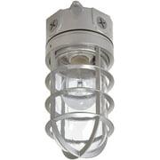 EATON Lighting VT100G 100W Vapor Tight Light