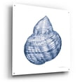 thumbnail image 2 of Epic Art 'Shells 4 Blue And White'  by Kathleen Parr Acrylic Glass Wall Art, 36" x 36", 2 of 8