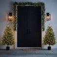 thumbnail image 5 of Ayieyill 4FT Norfolk Pine Christmas Tree, 2 Pack Norfolk Pine Tree with 80 LED Lights, Indoor Holiday Christmas Decorations, 5 of 11