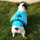 thumbnail image 3 of Chaqueta para perros jinwen con rayas reflectantes Ajustable para perros Azul M, 3 of 7