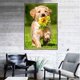 thumbnail image 5 of 5D León perro mariposa resina diamante pintura Animal taladro bordado costura DIY decoración interior punto de cruz kenally JJ13348-02, 5 of 6