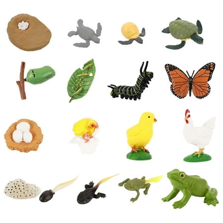 Animals Growth Model 4 Sets Plastic Nice Great Funny Animal Life Cycle Figures Animals Life Cycle Model | Walmart Canada Animals Growth Model 4 Sets Plastic Nice Great Funny Animal Life Cycle Figures Animals Life Cycle Model | Walmart Canada