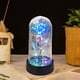 thumbnail image 4 of Xihbxyly Rosa Colorida con Cúpula de Cristal Iluminada Por Led, Rosa Galáctica Que Nunca Se Marchita, Decoración Romántica, Regalo Perfecto para San Valentín, Cumpleaños, Boda, Día de La Madre, 15 X, 4 of 7