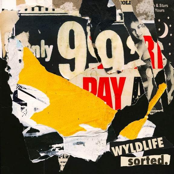 Wyldlife - SORTED. - Music & Performance - Vinyl