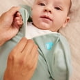thumbnail image 5 of Love to Dream Swaddle Up Baby Sleep Sack, Arms Up Design, Sleep Nearly 2x Longer, Twin Zipper, Cotton, Newborn 5-8.5 lbs, Olive, 5 of 8