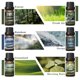 thumbnail image 3 of Set de aceites esenciales HIQILI Nature Fragrance 6 x 10 ml, 3 of 7