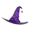 thumbnail image 1 of TQEHS Sombrero de bruja de Halloween, disfraz de mago para hombres y mujeres, araña colgante GX X9A4, 1 of 6