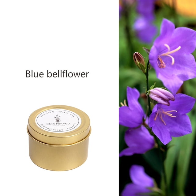 Home Organization Smoke Free Romantic Scented Candles Air Purification Aromatherapy Natural Soy
