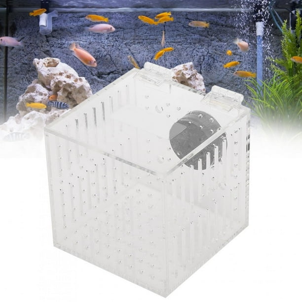 Fish Incubator Cage, Acrylic 10.5×10.5×10.5 CM Free Opening Hatchery Box,  Aquarium For Isolation Fish Protective Device Fish Accessories Baby Fish