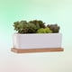 thumbnail image 3 of EeaseMX 2 macetas creativas con bandeja, maceta sencilla para plantas suculentas., 3 of 8