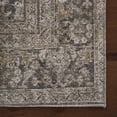 thumbnail image 4 of nuLOOM Hillstone Collection Deka Traditional Vintage Medallion Area Rug, 4' x 6', Deka Green, 4 of 7