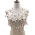 thumbnail image 1 of SPRING PARK 1Pair Lace Embroidered Neckline Neck Collar Trim Clothes Sewing Applique, 1 of 5
