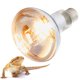 thumbnail image 5 of Lámpara calefactora para mascotas Bling Bling 220-240 V 80 W foco calefactor UVB, 5 of 12