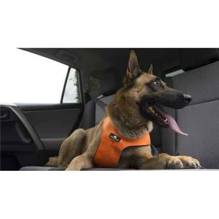 Clickit Sport Crash-Tested Car Safety Dog Harness - Orange,Extra