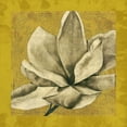 thumbnail image 2 of Goldberger, Jennifer 15x15 Gold Ornate Wood Framed with Double Matting Museum Art Print Titled - Ecru Magnolia II, 2 of 4