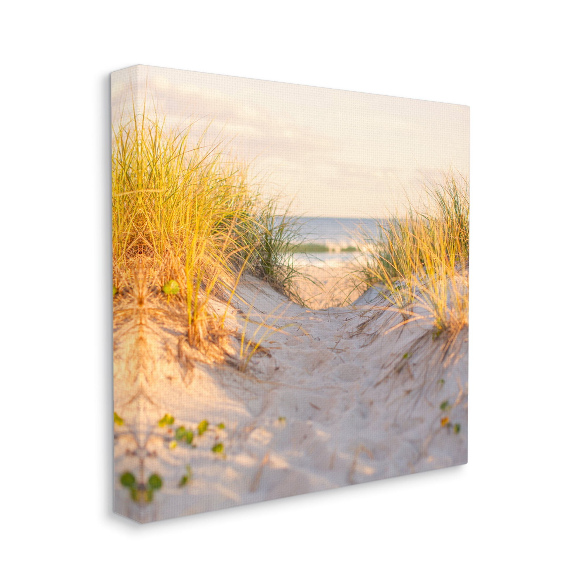 Stupell Industries Beach Sand Dunes Path Nature Photography Gallery Wrapped Canvas Print Wall Art, 17 x 17