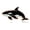 Rose Gold, variant on Orca Whale Enamel Pin | Clayton Jewelry Labs