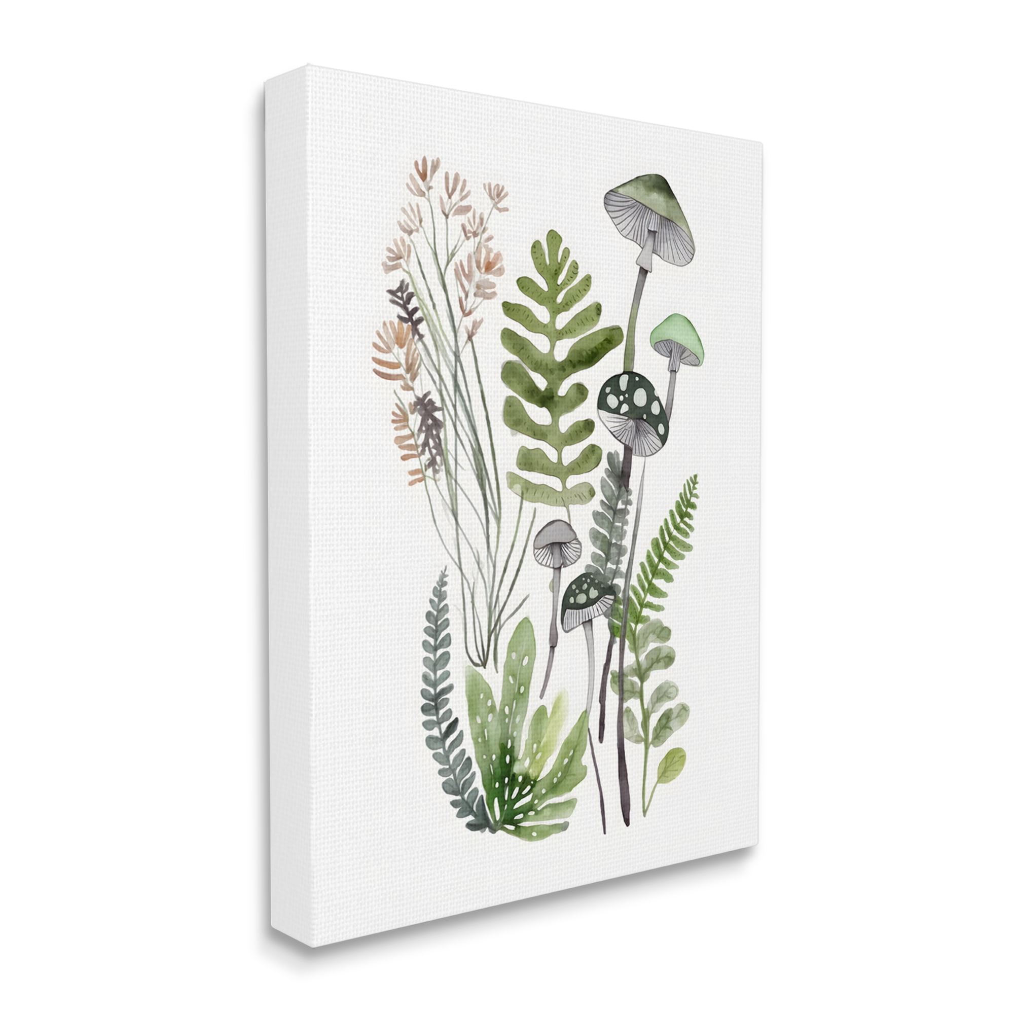 Stupell Industries Green Mushroom Botanicals Botanical & Floral Painting Gallery Wrapped Canvas Art Print Wall Art, 36 x 48