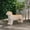 Light Brown + Magnesium Oxide+3, variant on ZHICHUN Elephant Garden Stool Bronze Copper Patina Magnesium Oxide Weather Resistant 12.5 Inch