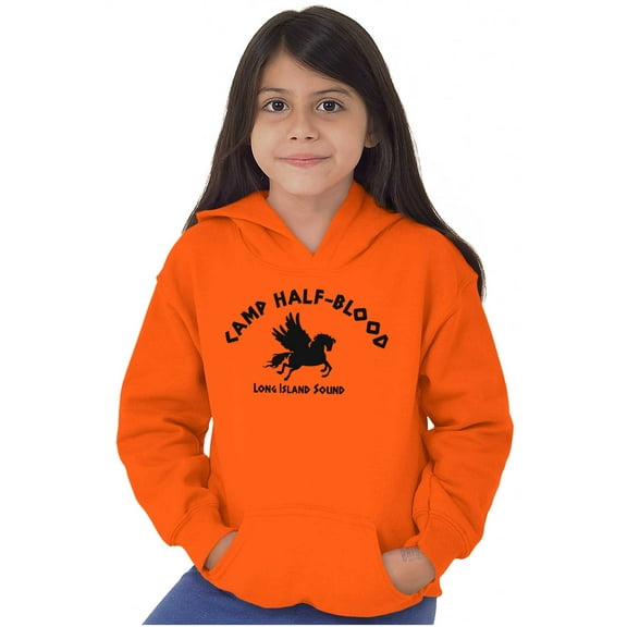 Camp Half Blood Greek Mythology Youth Hoodie Boy Girl Teen Brisco Brands XS