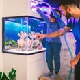 thumbnail image 3 of Aquarium Background, 12 x 21Inch Double Sided Fish Tank Background Aquarium Decorations Poster Paper Cling Decals Wallpaper Sticker Terrarium Background (Type 1), 3 of 5