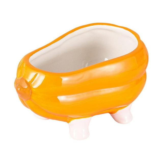 Contenedor de cerámica con diseño de erizo y hurón, con diseño creativo de calabaza y dibujos animados bañera