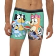 thumbnail image 2 of Lsque Bluey Pattern Men's Performance Stretch Underwear, Athletic Long Leg Briefs，Moisture-Wicking-XX-Large, 2 of 6