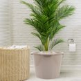 thumbnail image 4 of OULII Elder Care Chamber Pot With Lid Grey Plastic Convenient Urination 1Set, 4 of 6