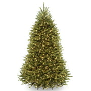 National Tree DUBH-65LO 6.5 ft. Dunhill Blue Fir Hinged Tree with Clear Lights