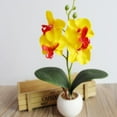 thumbnail image 4 of Surtido de orquídeas artificiales Yirtree, miniplantas en maceta con jardinera de madera, flores artificiales de orquídea Phalaenopsis en macetas para interior, oficina, escritorio, habitación,, 4 of 8