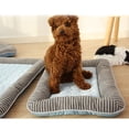 thumbnail image 2 of WASHWEPE 1Ud Alfombrilla De Para Mascotas Azul Con Material Premium Y Base Antideslizante, 2 of 7