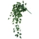 thumbnail image 1 of Plantas artificiales de vid de hiedra verde de hojas de Scindapsus falsas para decoración del hogar en interiores y exteriores (hojas de Scindapsus), 1 of 4