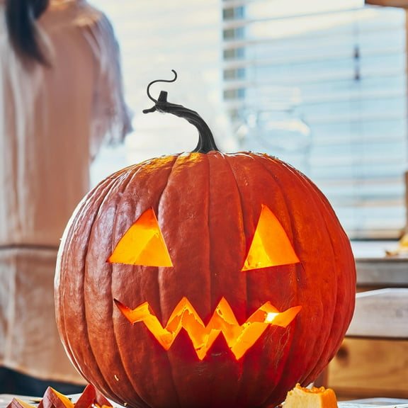 FRCOLOR Faux Pumpkin Stems for Crafts Pumpkin Stem Decor Black Decoration 30pcs