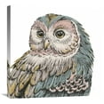 thumbnail image 1 of Global Gallery's 'Beautiful Owls I Pastel Crop' by Daphne Brissonnet Stretched Canvas Wall Art, 1 of 4